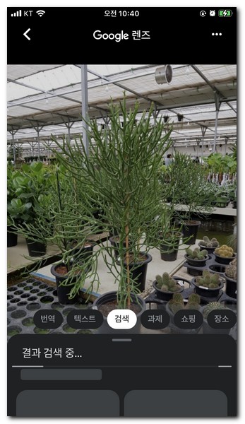 사진첩이나 카메라에 있는 사진을 구글렌즈로 검색