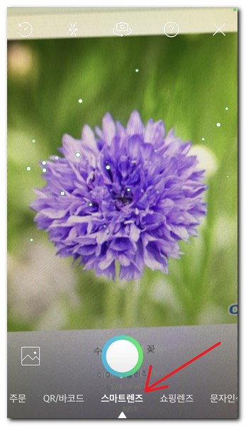 앨범에 있는 사진이나 카메라로 스마트렌즈를 활용해본다