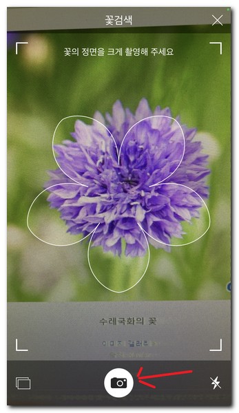 뒷면 카메라를 사용해서 정확히 촬영해야된다