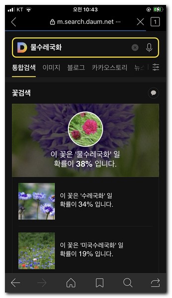 물레수레국화에 대해서 찾게 되었다