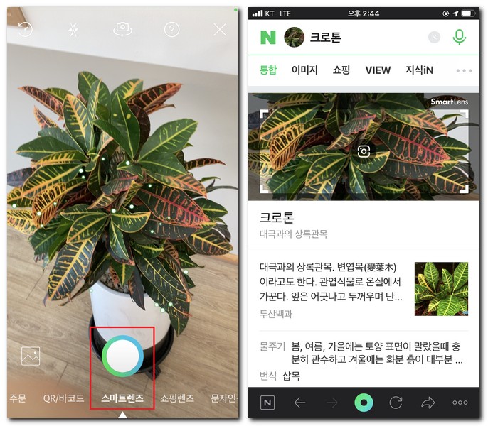 네이버 렌즈로 검색