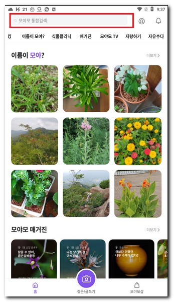 꽃나무이름 찾기 검색 어플 사용법