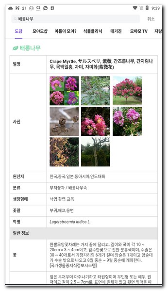 나무 도감으로 보기