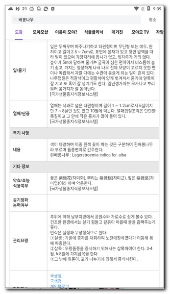 나무 도감으로 보기