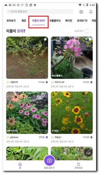 나무 이름 알아보기