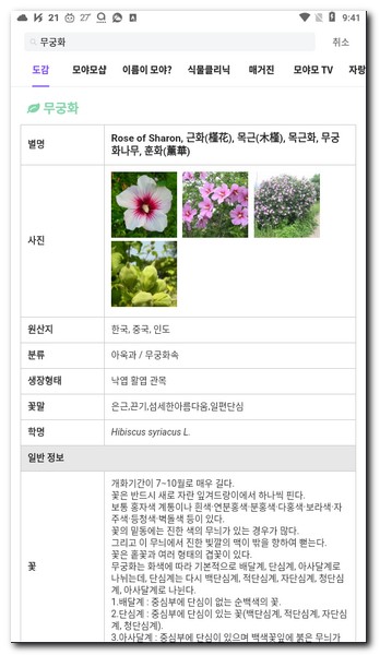 나무 이름 알아보기