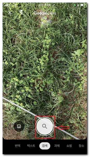 돋보기 모양 아이콘