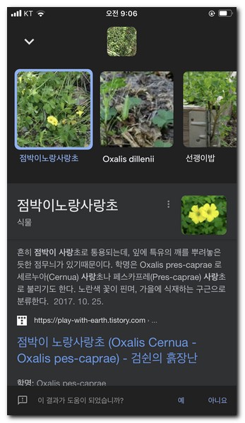 검색 결과 확인