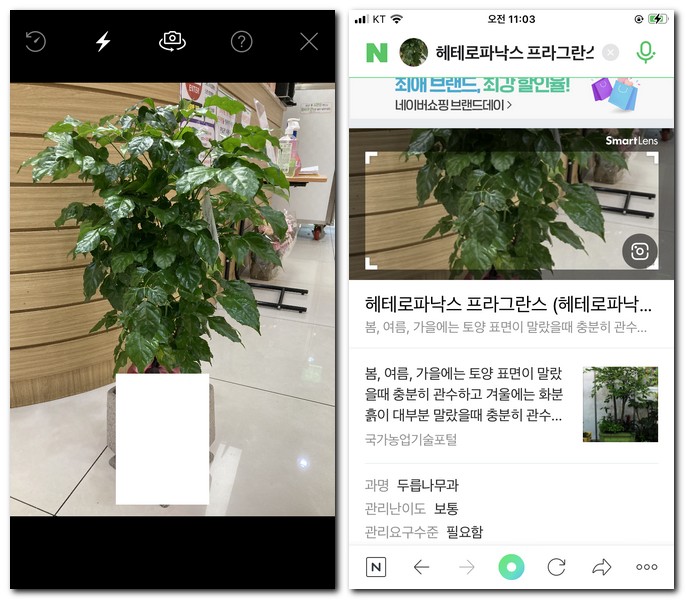 네이버 꽃검색 어플