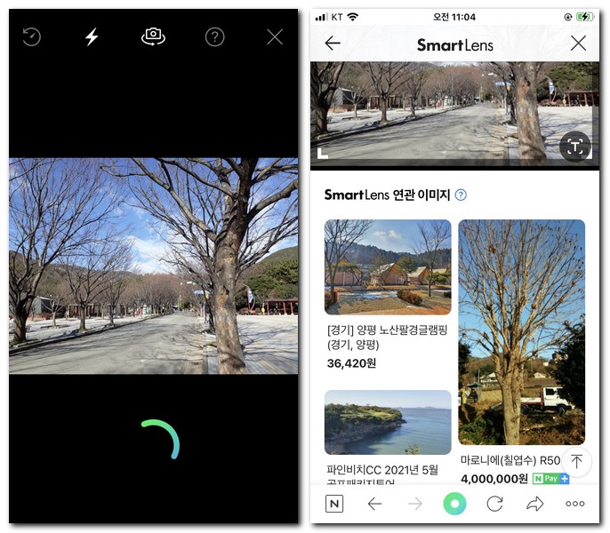 네이버 꽃검색 어플