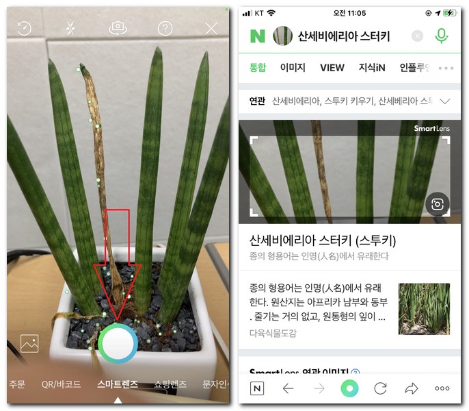 네이버 꽃검색 어플