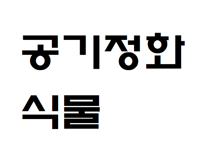 공기정화식물 종류