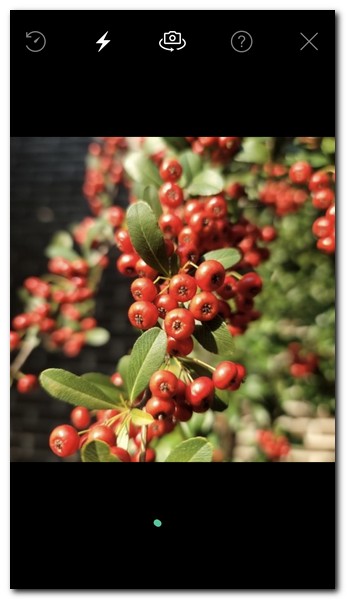 이미지 선택해서 검색