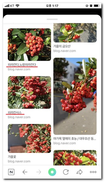 사진첩에 있는 이미지로 찾을 수 있다