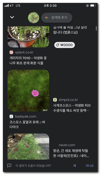 찾고자 하는 사진과 비슷한 이미지를 찾을 수 있다