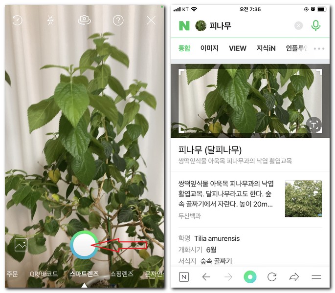 스마트렌즈 결과