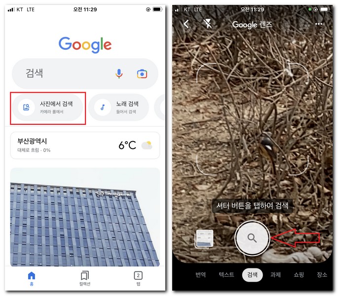 아이폰에서 사진찍어서 새이름 찾기