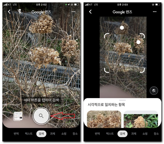 카메라 찍어서 꽃이름 찾기
