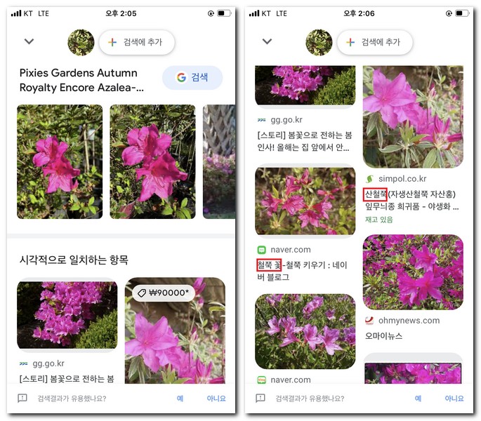 시각적으로 비슷한 꽃들이 나온다