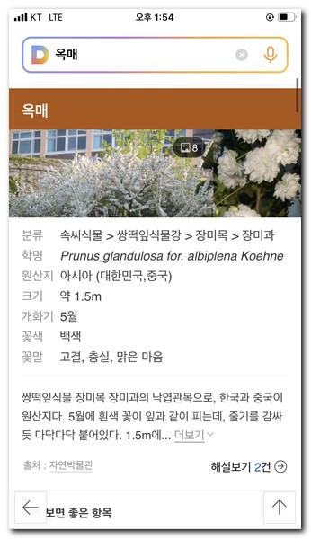 찾은 꽃 세부 정보 확인