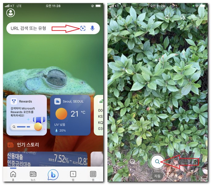 빙에서 사진을 찍어서 식물 이름 찾기