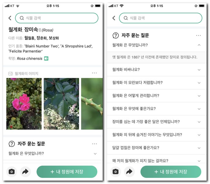 야생화 이름과 사진
