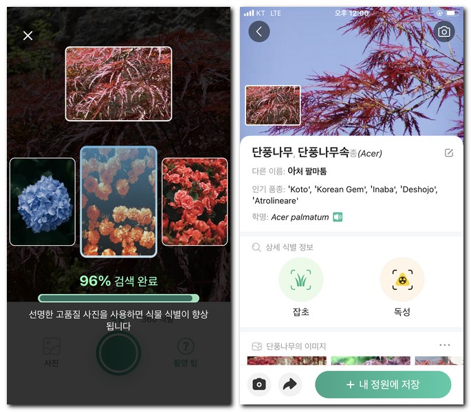 검색된 나무 세부정보