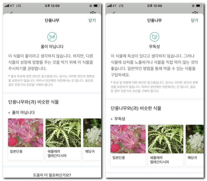 상세 식별 정보