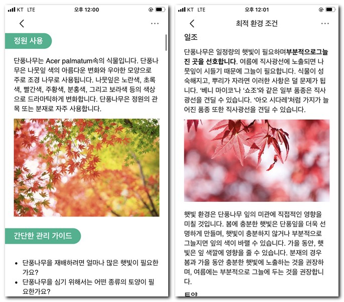 관리 가이드 기능