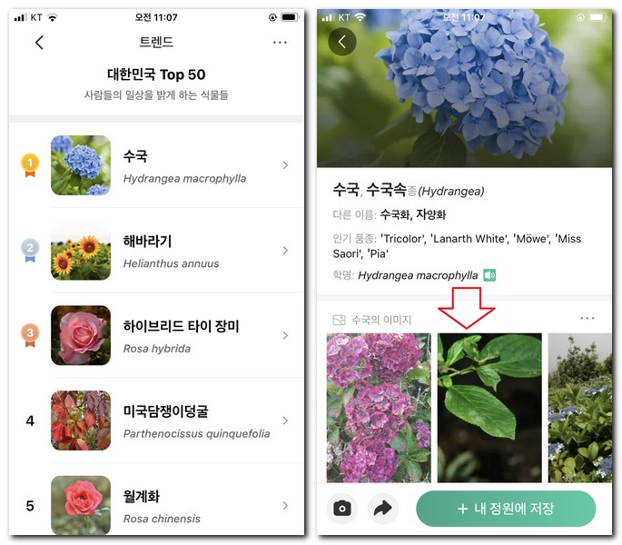 대한민국 트렌드TOP
