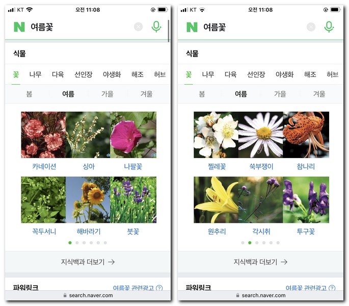 네이버 계절별 꽃 찾기