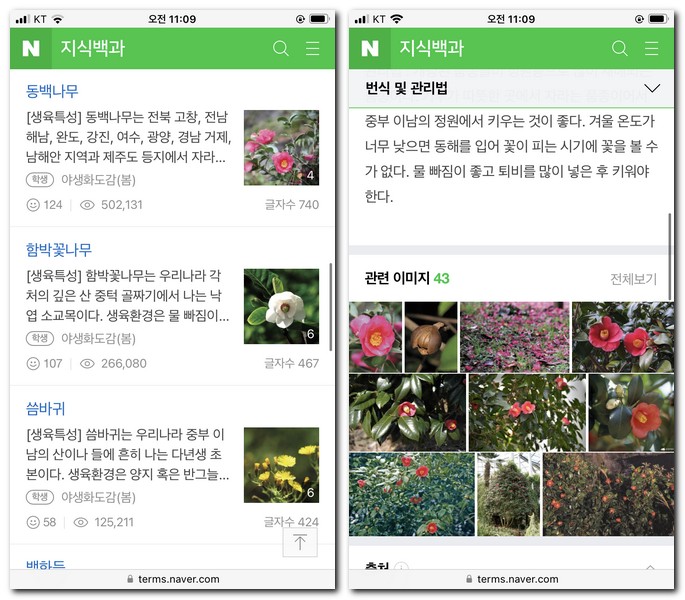 관련 이미지 보기