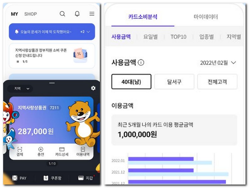 대구로페이 잔액조회 사용내역 확인방법