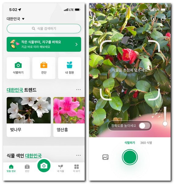 사진으로 꽃나무 이름찾기 검색방법