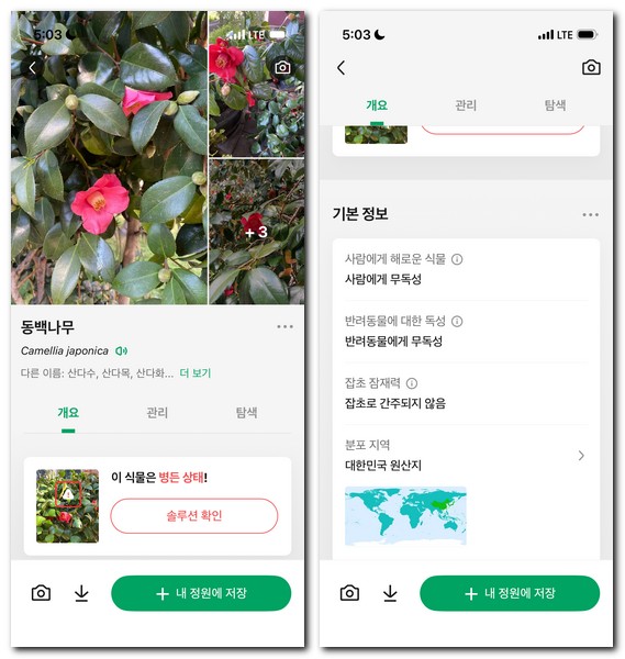 사진으로 꽃나무 이름찾기 검색방법