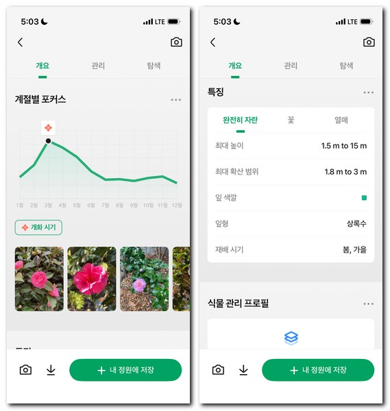 사진으로 꽃나무 이름찾기 검색방법