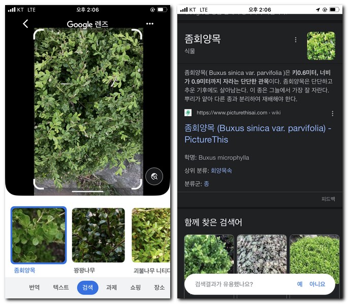 식물이름 사진으로 찾기 방법